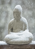 Snow-Buddha