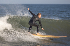 Surfing-Rices-1