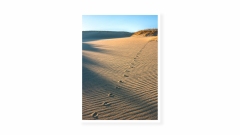 Dune-Prints