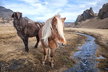 Iceland-Photography-workshop-3