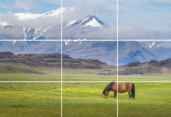 The Rule of Thirds by John Tunney