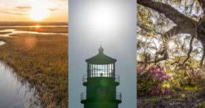 Examples of lens flare 